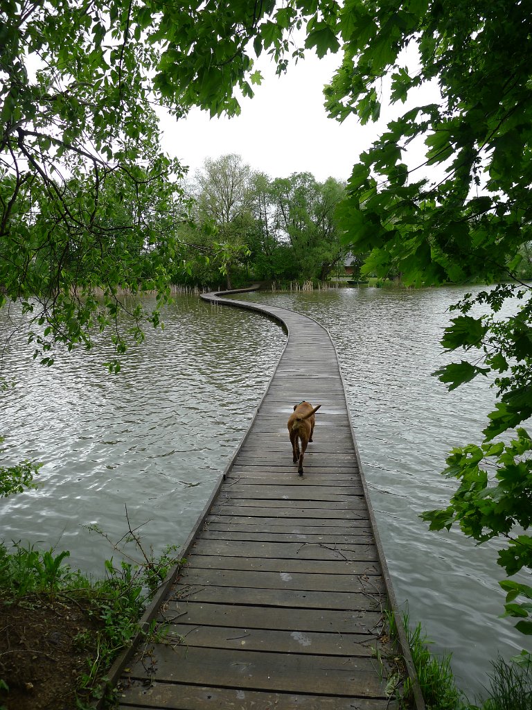 PavlaCzechVisit 032